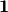 \mathbf{1}