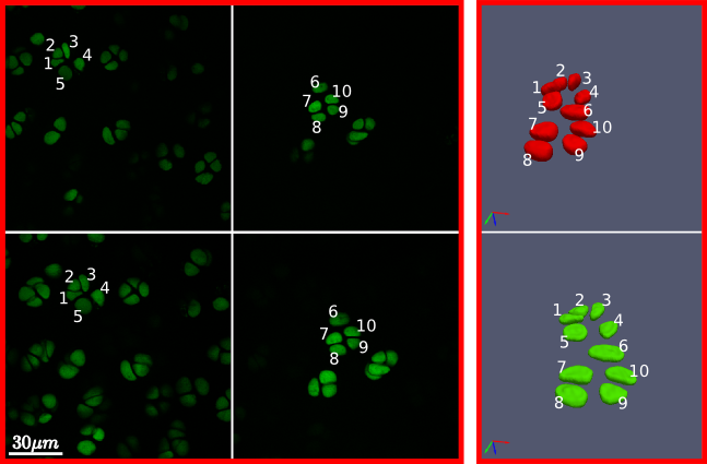 _images/segmentation.png