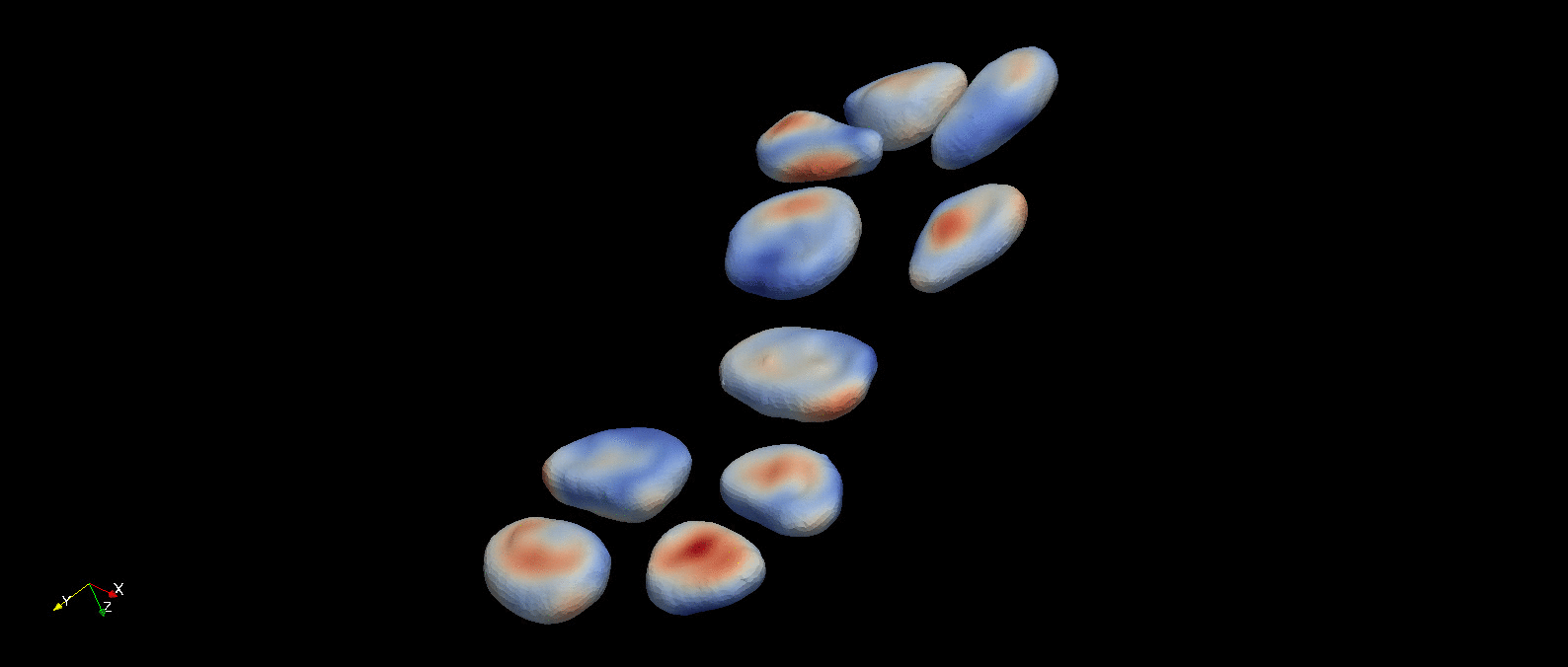 _images/cells_deform.gif