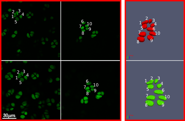 _images/segmentation.png